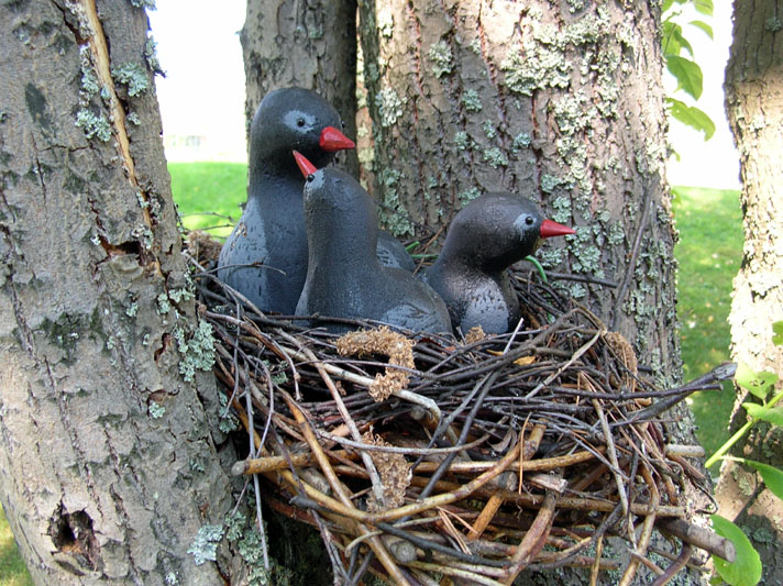 The Bird's Nest in Solnechnoye